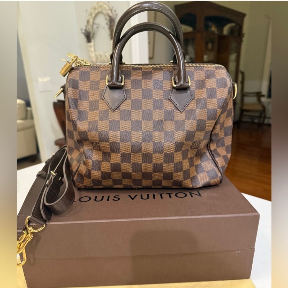 Louis Vuitton Brown Speedy Checkered Women's Bag